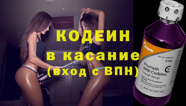 прущие грибы Вяземский