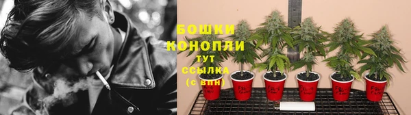 СК Вязники