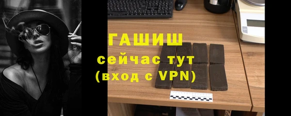 прущие грибы Вяземский
