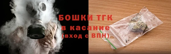прущие грибы Вяземский