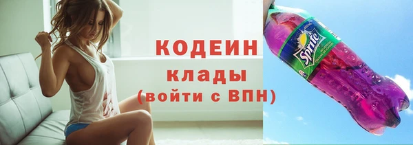 прущие грибы Вяземский