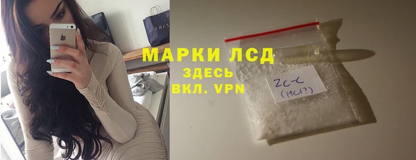 прущие грибы Вяземский