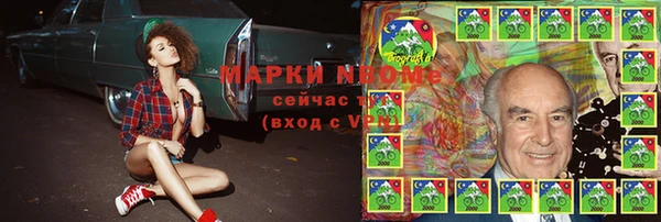 прущие грибы Вяземский