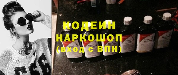 прущие грибы Вяземский